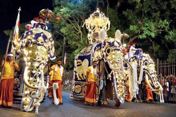 Majestically caparisoned! Randoli Perahera begins