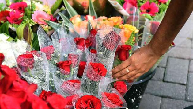 More customers to buy fresh red roses, a single red rose costs Rs.200