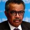 Global Ebola risk ’remains low’: WHO Chief
