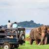 Continued growth expected following peaceful election: Sri Lanka Tourism