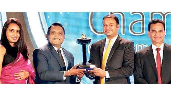 JAT clinches Gold at NBEA for fourth consecutive year