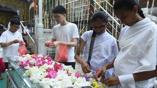 Seeking blessings on Binara Poya Day