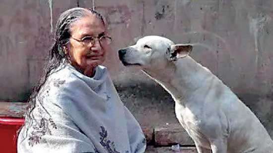 Aloka’s elevation through Samsara:  street dog meets his saviour
