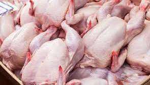 Chicken price can be brought down to Rs.1,200 within 3 months: Poultry owners
