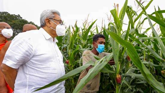 President inspects  damage caused by Sena Caterpillar