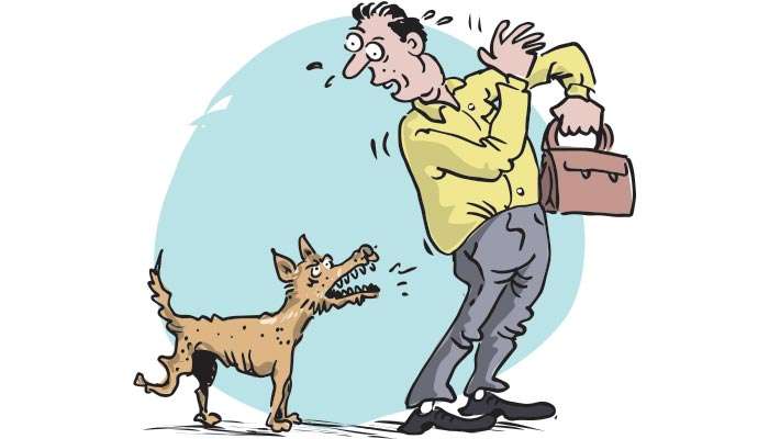 Surge in dog bites linked to growing canine population