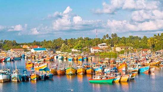 Beruwala Fisheries Harbour closed after 10 tested positive for COVID-19