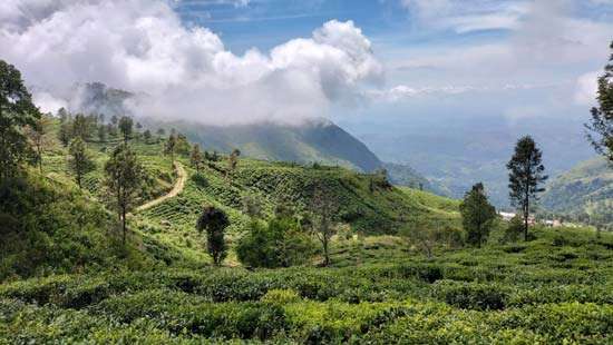 Sri Lanka’s Pekoe Trail to Host LKR 20 Million Fundraiser Walk Across Highlands