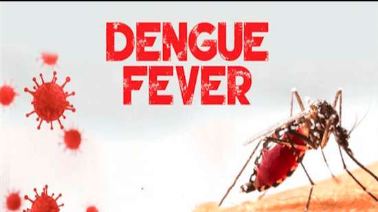 August ends with lowest Dengue cases in 2023