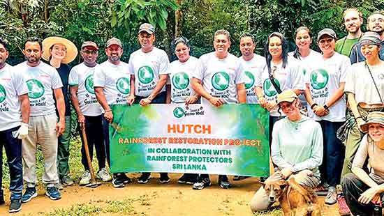 Hutch partners with Rainforest Protectors to launch rainforest restoration project