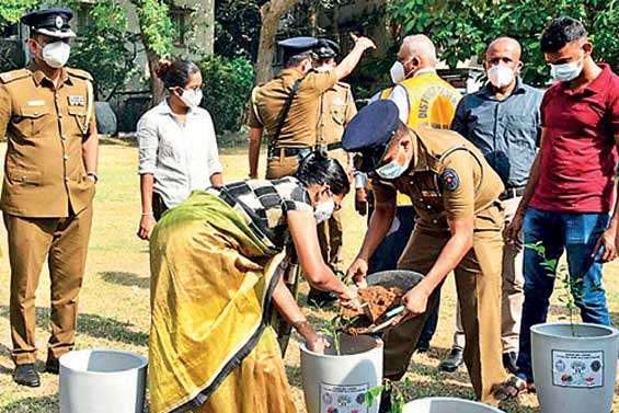 Inauguration ceremony to plant 1Mn trees