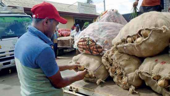 Potato cultivation a no-winner for Welimada farmers