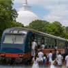 Special train services to Anuradhapura for 'national pichcha mal pujawa'