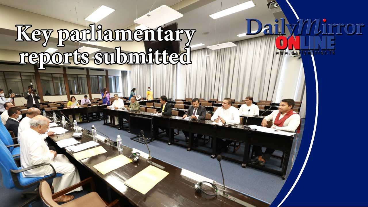 Key parliamentary reports submitted