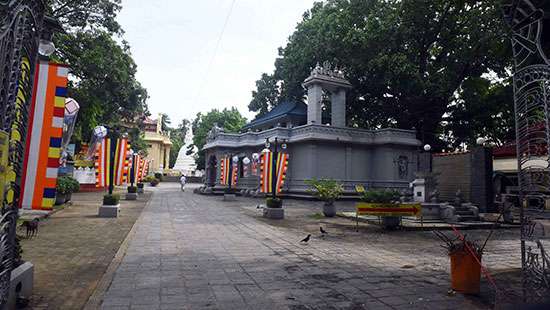 Vesak without devotees...