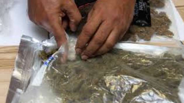 Customs seize Rs. 60 mn worth of Kush at Central Mail Exchange