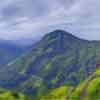 French tourist injured in fall at Punchi Sri Pada