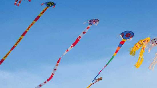 Do not fly kites near Hambantota-Polpitiya High Tension Line: CEB