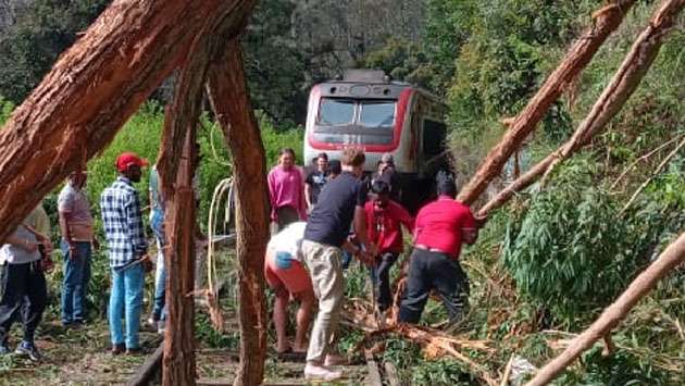 Fallen trees disrupt train services on upcountry line
