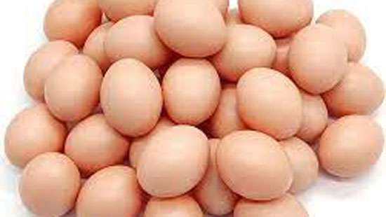 Reports should be issued by responsible institutions: Poultry Association