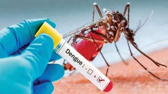Dengue cases at an all-time high after 2 years: Experts