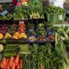 Vegetable prices may rise further, farmers warn