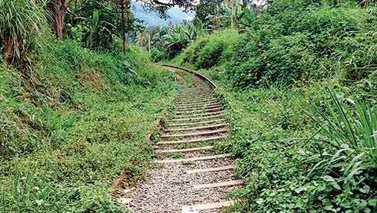 Sections of main line tracks overgrown since cyclone