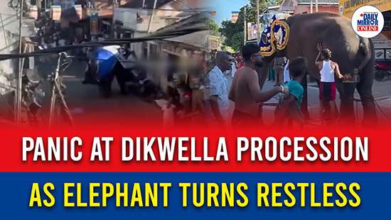 Panic at Dikwella procession as elephant turns restless