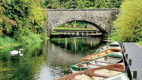 Ireland… A Touch of the Green Stuff