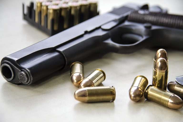 Dates announced for renewal of firearm license for 2024