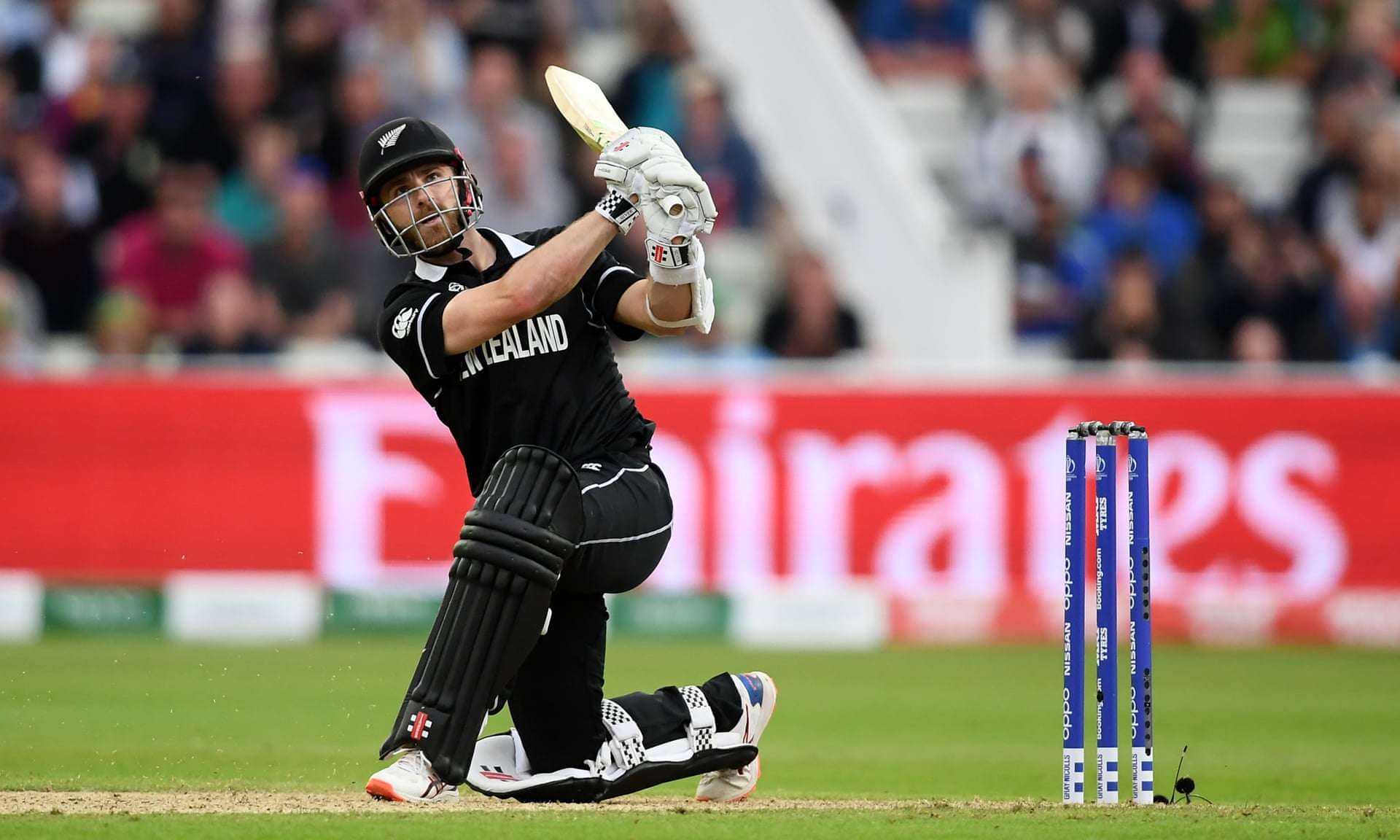 Praise for ’gem’ Williamson after skipper guides New Zealand to tense win