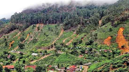 Malaiyaha  community  left in the dark following  Cyclone Ditwah