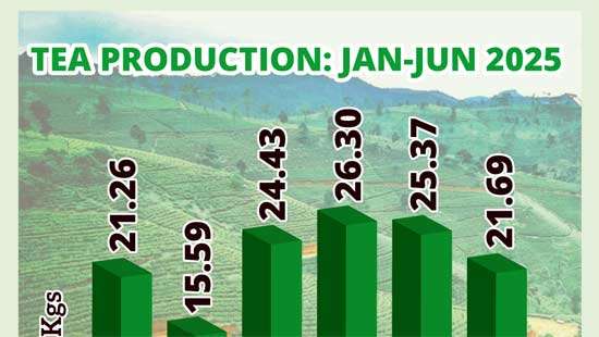 Tea output in 1H up 6.1% YoY