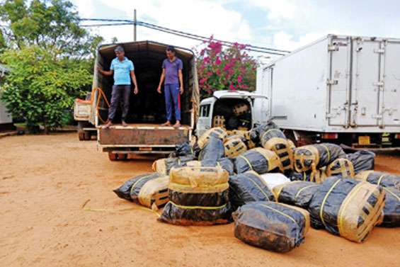 Consignment of beedi leaves seized