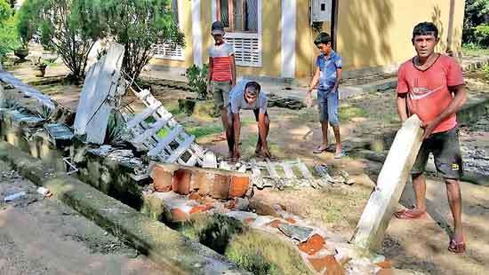 Flood-hit  wild elephants pose threat to flood-hit people