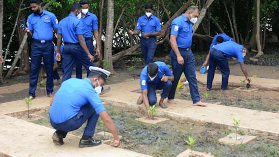 Navy initiates 100,000 Mangroves campaign