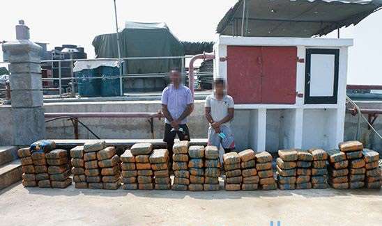 Kerala marijuana worth over Rs. 80 mn seized; two suspects nabbed