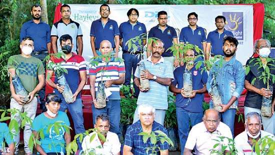 DPL distributes 30,000 rubber saplings to boost farmers’ yield