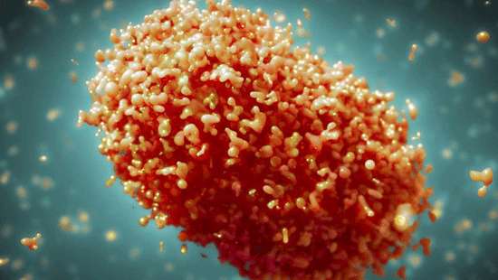 WHO to determine if Monkeypox should be declared ‘Emergency of International Concern’