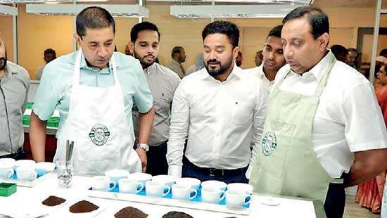 Macksons Group launches tea exports venture