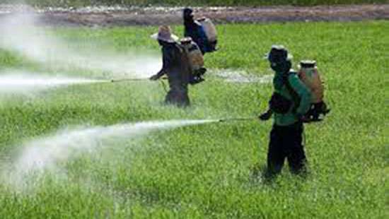 Chemical fertilizers, pesticides, herbicide imports allowed from today: Aluthgamage