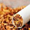 Special programme launched to help healthcare workers curb tobacco use