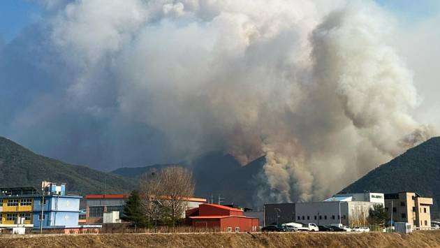 South Korea wildfires: 4 dead, hundreds displaced as govt declares emergency