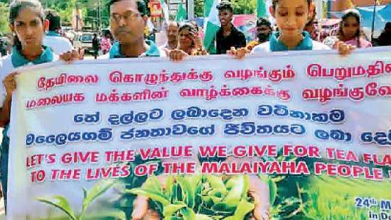 Voice of Plantation People Organisation Celebrating “International Tea Day” International relevance and local grievances