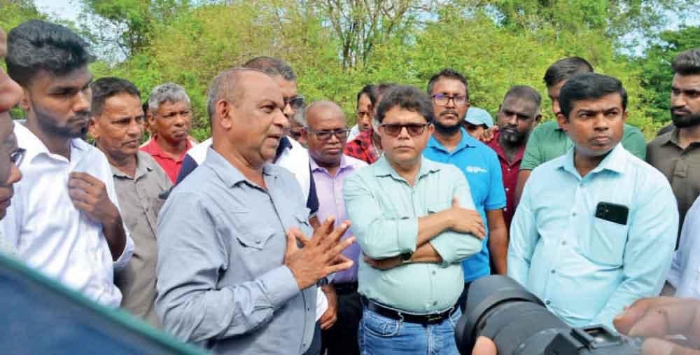 ‘Mihikatha’ environmental credentials exposed: Proposed rice mill ...