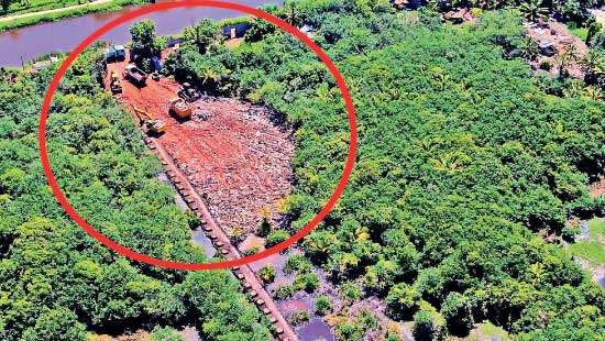 Muthurajawela  From a biodiversity hotspot to a haven for racketeers