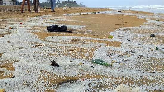 Debris washed ashore again...