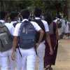 Schools allowed to relax uniform rules to protect students from dengue