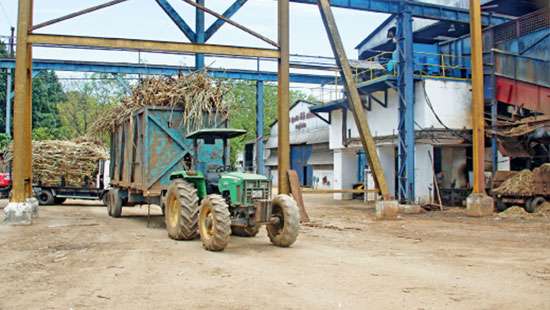 Pelwatte, Sevanagala sugar factories in a crisis due to mismanagement
