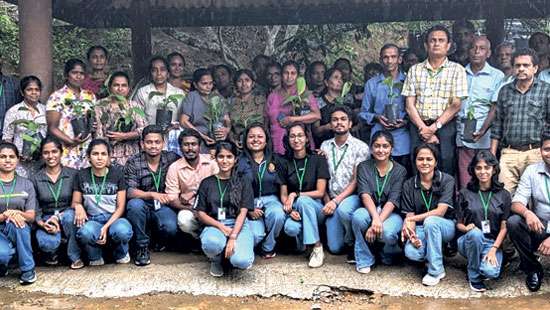 Plants distributed to celebrate ‘World Environment Day’